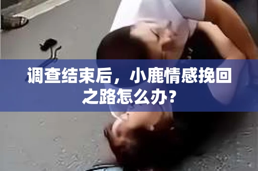 调查结束后，小鹿情感挽回之路怎么办？
