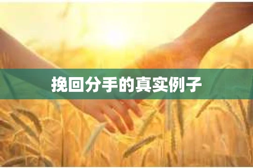 挽回分手的真实例子