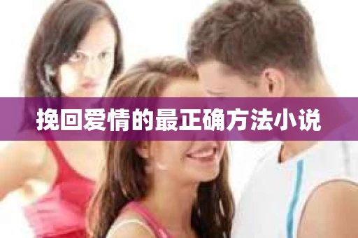 挽回爱情的最正确方法小说