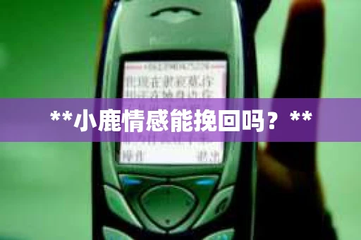 **小鹿情感能挽回吗？**