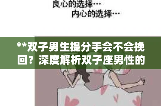 **双子男生提分手会不会挽回？深度解析双子座男性的情感决策**