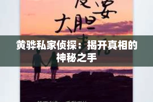 黄骅私家侦探：揭开真相的神秘之手
