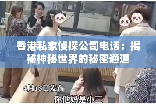 香港私家侦探公司电话：揭秘神秘世界的秘密通道