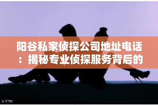 阳谷私家侦探公司地址电话：揭秘专业侦探服务背后的故事