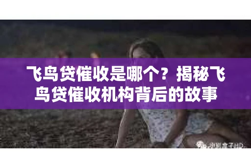 飞鸟贷催收是哪个？揭秘飞鸟贷催收机构背后的故事