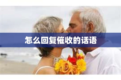 怎么回复催收的话语