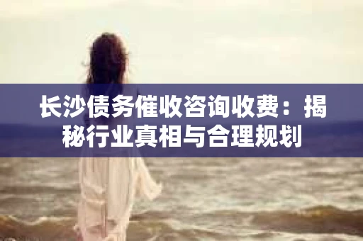 长沙债务催收咨询收费:揭秘行业真相与合理规划 长沙债务催收咨询收费:揭秘行业真相与合理规划