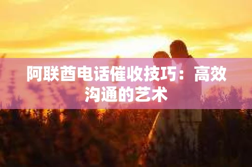 阿联酋电话催收技巧：高效沟通的艺术