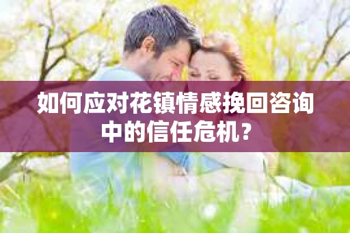 如何应对花镇情感挽回咨询中的信任危机？