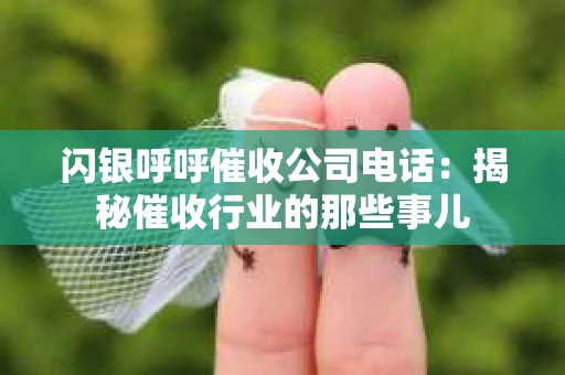 闪银呼呼催收公司电话：揭秘催收行业的那些事儿