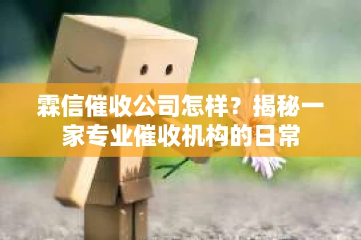 霖信催收公司怎样？揭秘一家专业催收机构的日常