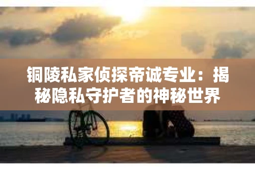 铜陵私家侦探帝诚专业：揭秘隐私守护者的神秘世界