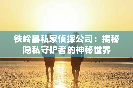 铁岭县私家侦探公司：揭秘隐私守护者的神秘世界