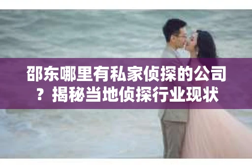 邵东哪里有私家侦探的公司？揭秘当地侦探行业现状