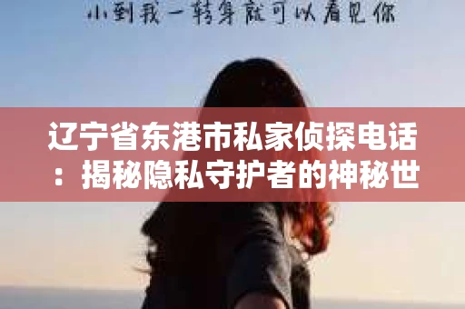 辽宁省东港市私家侦探电话：揭秘隐私守护者的神秘世界