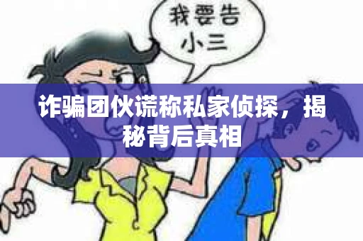 诈骗团伙谎称私家侦探，揭秘背后真相