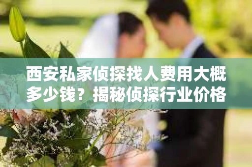 西安私家侦探找人费用大概多少钱？揭秘侦探行业价格之谜