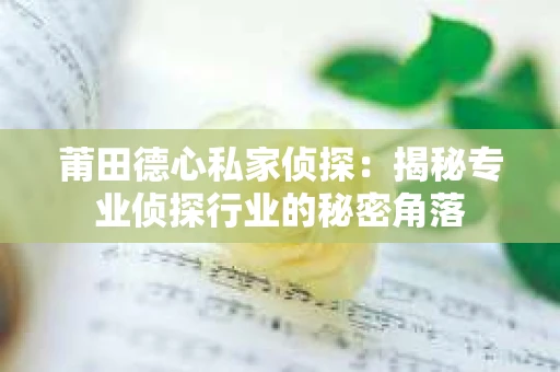 莆田德心私家侦探：揭秘专业侦探行业的秘密角落