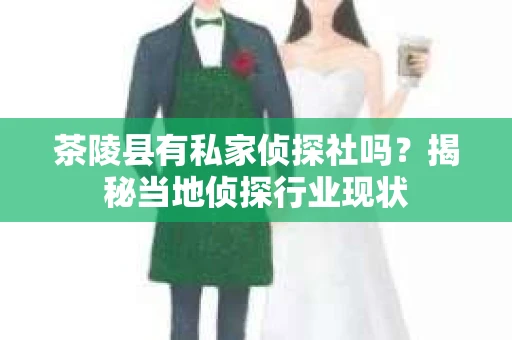 茶陵县有私家侦探社吗？揭秘当地侦探行业现状