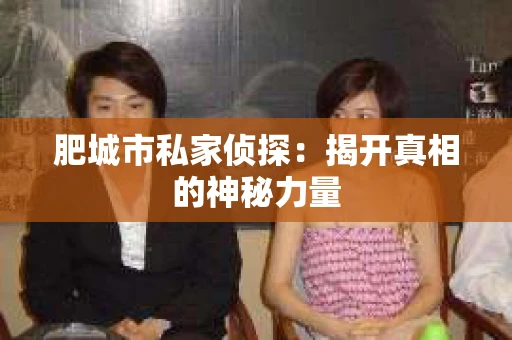 肥城市私家侦探：揭开真相的神秘力量