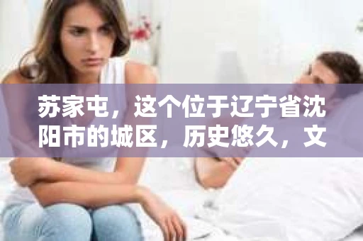 苏家屯，这个位于辽宁省沈阳市的城区，历史悠久，文化底蕴深厚。近年来，随着社会的发展，人们对于私家侦探的需求也逐渐增加。那么，苏家屯有私家侦探吗？今天，我们就来聊聊这个话题。