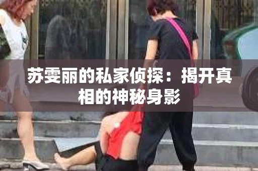 苏雯丽的私家侦探：揭开真相的神秘身影