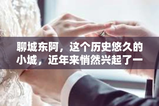 聊城东阿，这个历史悠久的小城，近年来悄然兴起了一股新的服务潮流——私家侦探。今天，我们就来聊聊这个话题，看看在聊城东阿，私家侦探是如何成为人们生活中的一部分的。