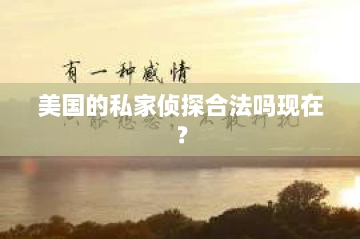 美国的私家侦探合法吗现在？