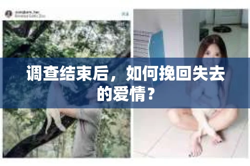 调查结束后,如何挽回失去的爱情? 调查结束后,如何挽回失去的爱情?