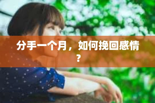 分手一个月，如何挽回感情？