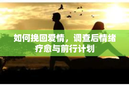 如何挽回爱情,调查后情绪疗愈与前行计划 如何挽回爱情,调查后情绪疗愈与前行计划