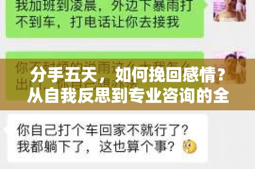 分手五天，如何挽回感情？从自我反思到专业咨询的全面解决方案