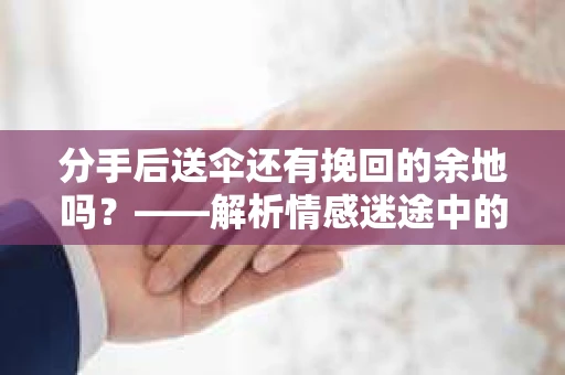 分手后送伞还有挽回的余地吗？——解析情感迷途中的决策