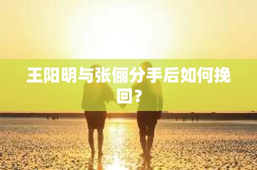 王阳明与张俪分手后如何挽回？