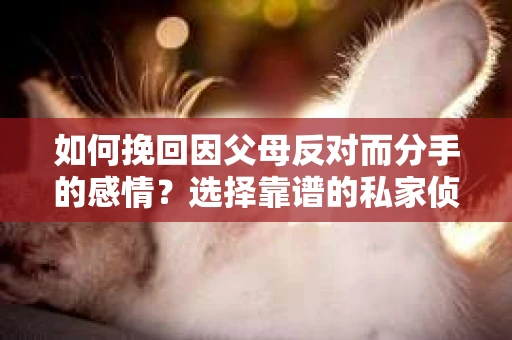 如何挽回因父母反对而分手的感情?选择靠谱的私家侦探社怎么办? 如何挽回因父母反对而分手的感情?选择靠谱的私家侦探社怎么办?