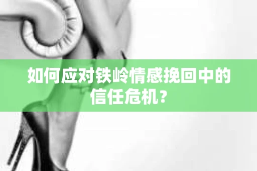 如何应对铁岭情感挽回中的信任危机？