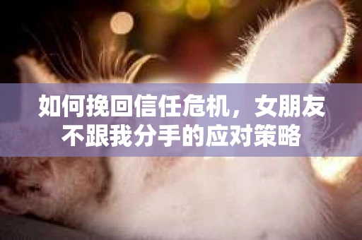 如何挽回信任危机，女朋友不跟我分手的应对策略